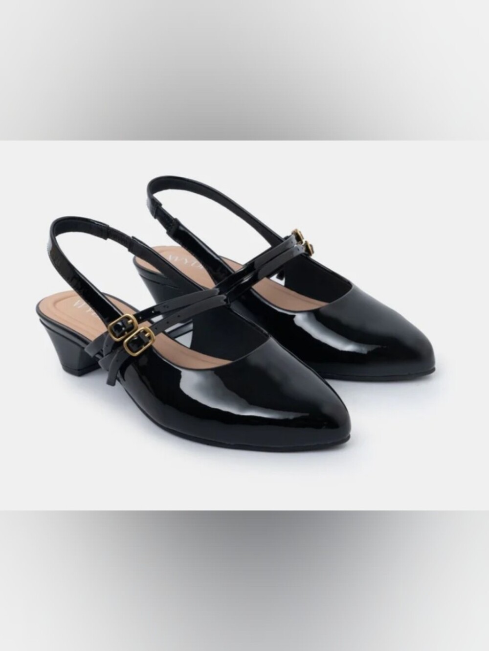 Aria Double Strap Pointy Shoe -NWT- 6WW